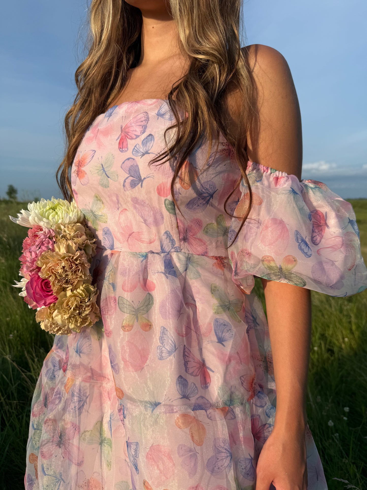 Butterfly Garden Dress