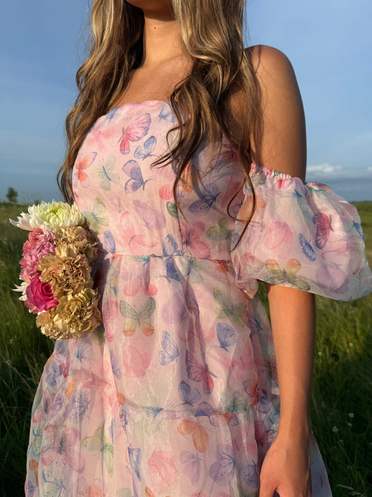 Butterfly Garden Dress